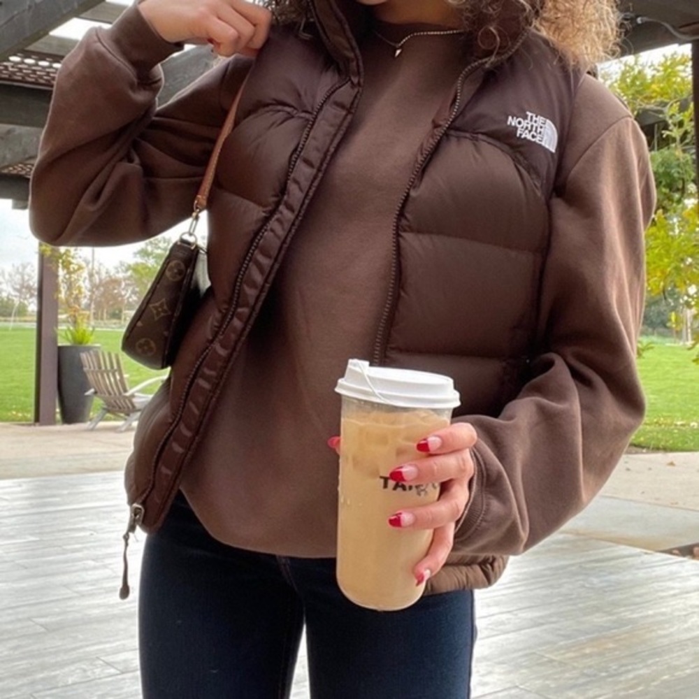 The North Face 700 Nuptse Brown Puffer Vest - Picture 2 of 10